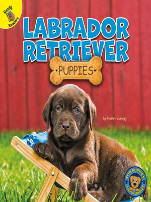 cover image of Labrador Retriever Puppies